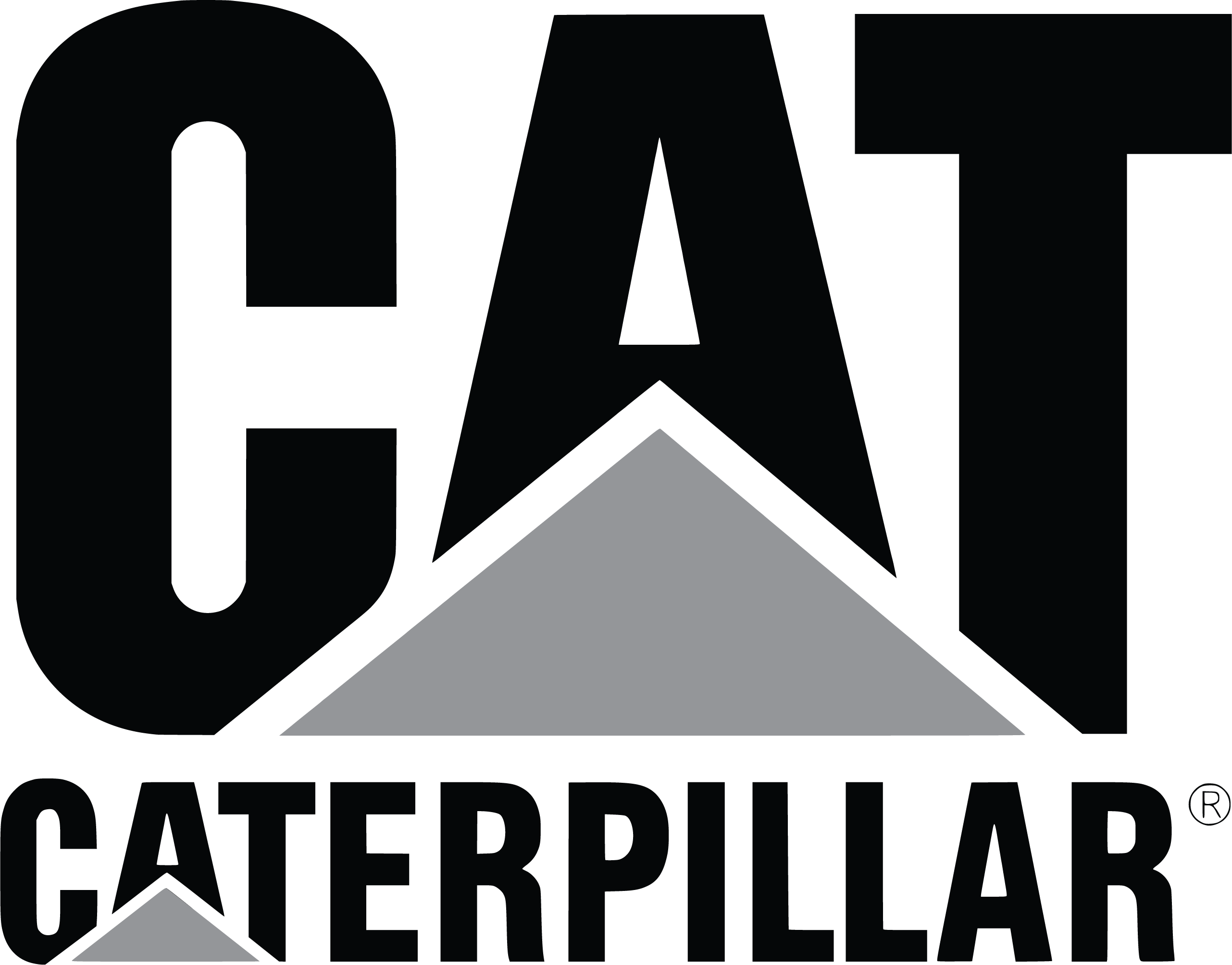 Client Cat